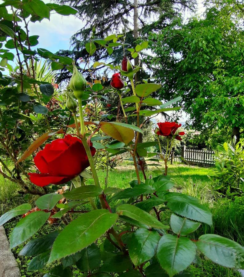 Albergue La Costana Oviedo Dış mekan fotoğraf